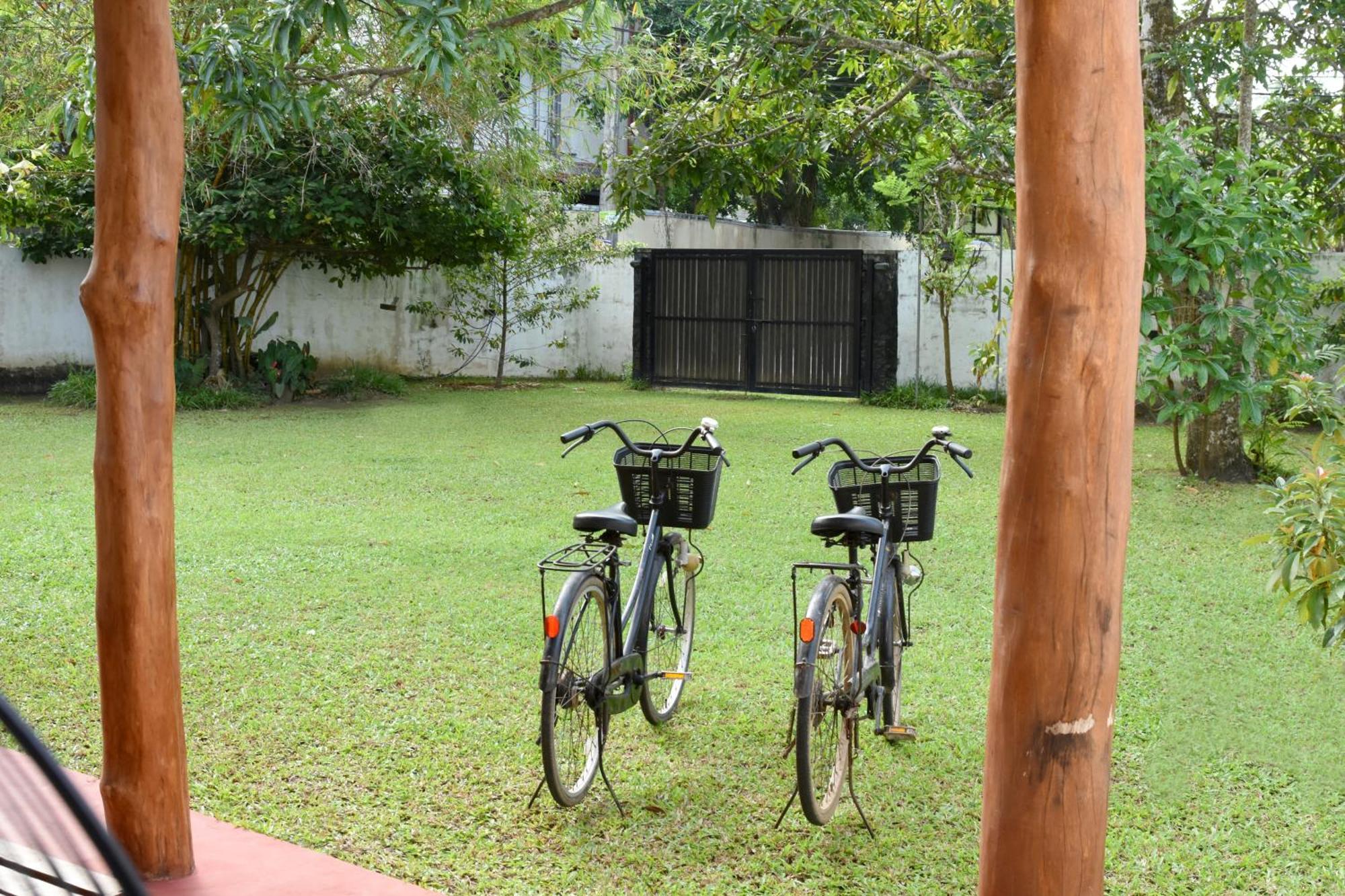 Villa Polhena Matara Rom bilde